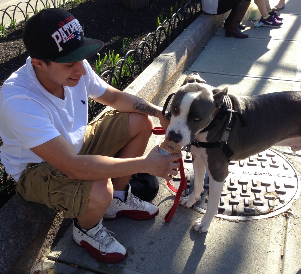 The peanut butter cure Helping a shelter dog learn to trust Dr