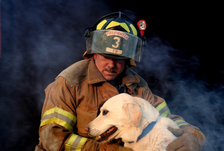 Dogs Are Saving Firefighters - Dr. Marty Becker