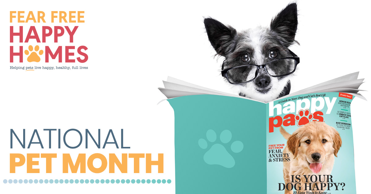 National Pet Month Contest: Show Us Your Happy Paws! – Pets-99.com